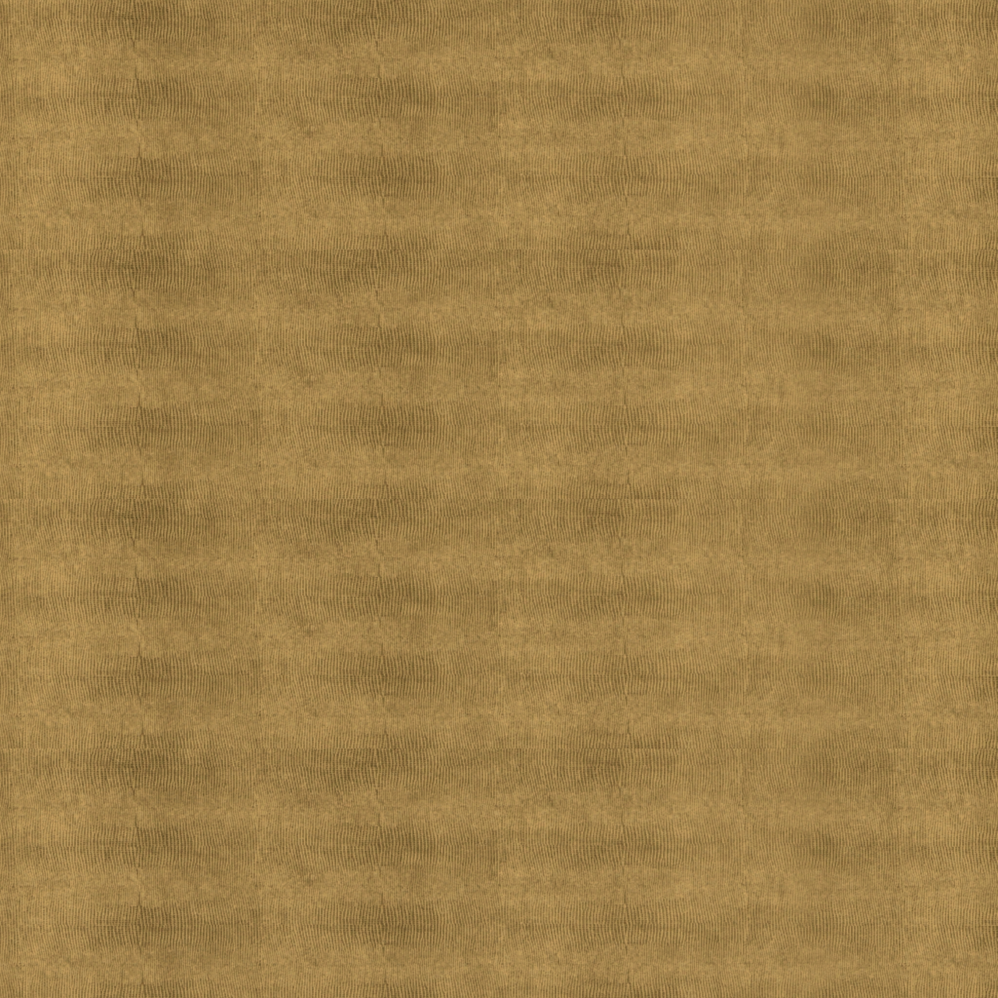 Leguan Gold quer